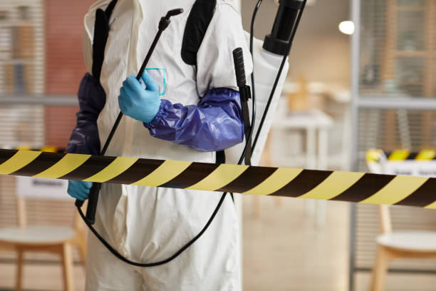 Professional Sewage Cleanup technician working in North Royalton, OH
